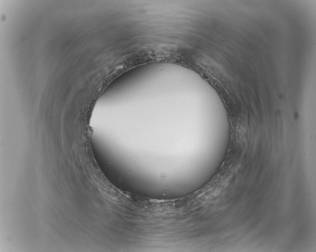 X0000066530865200603241359