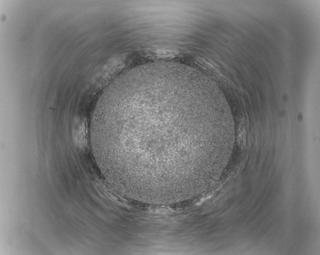 X0000066530866200603241359