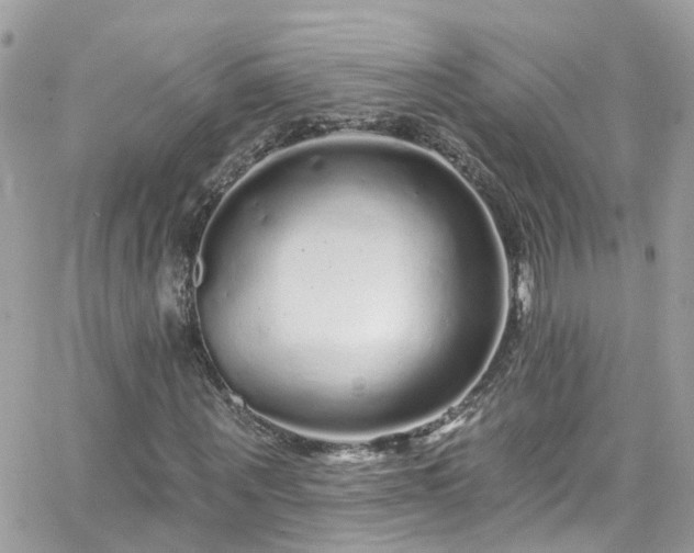 X0000066530867200603241359