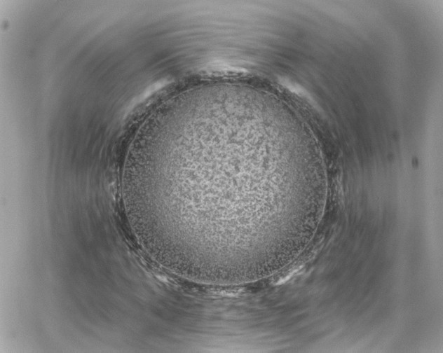 X0000066530870200603241359