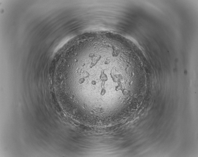 X0000066530871200603241359