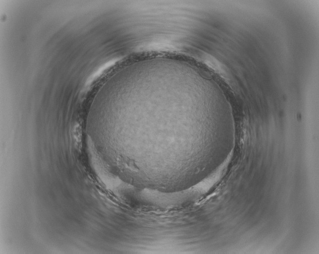 X0000066530872200603241359