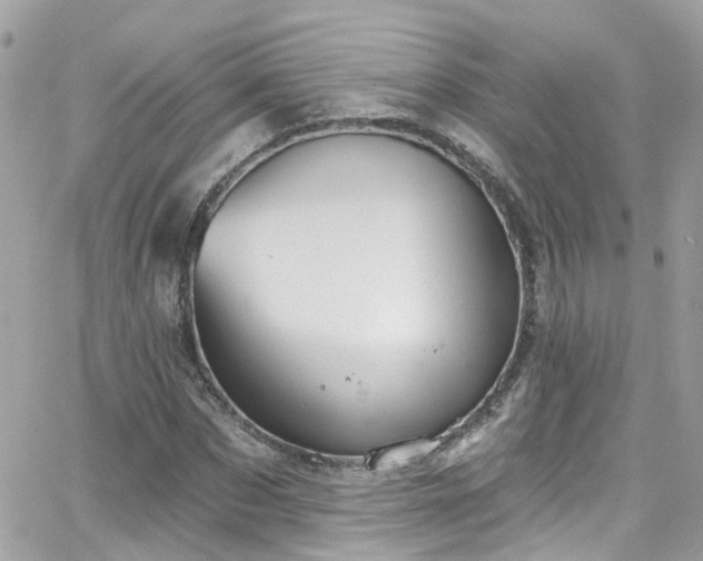 X0000066530873200603241359