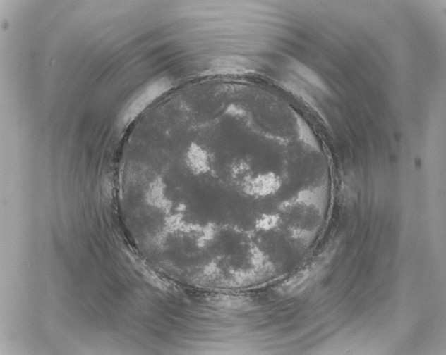 X0000066530874200603241359