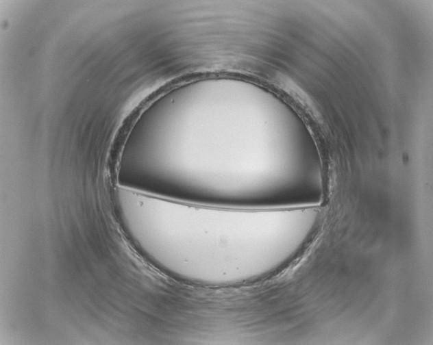 X0000066530876200603241359