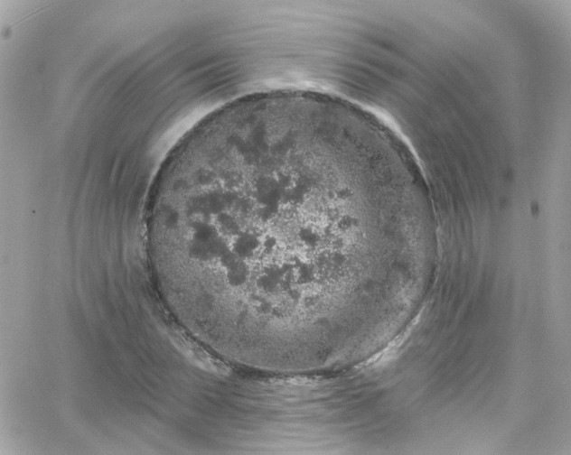 X0000066530879200603241359