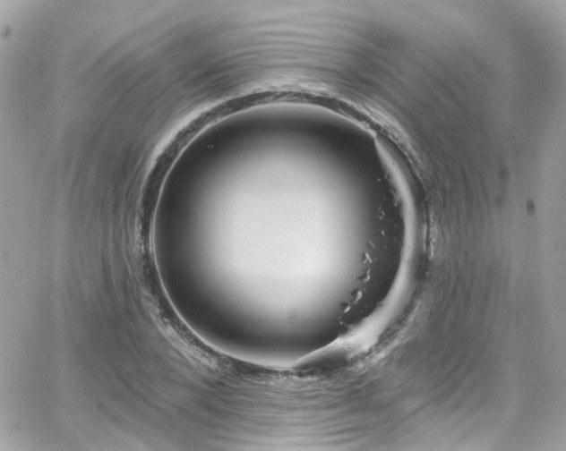 X0000066530880200603241359