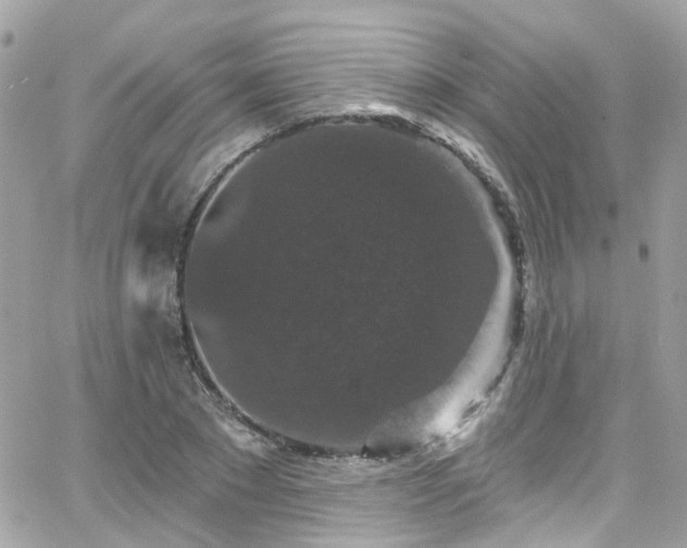 X0000066530881200603241359