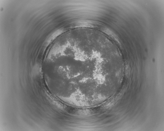 X0000066530882200603241359