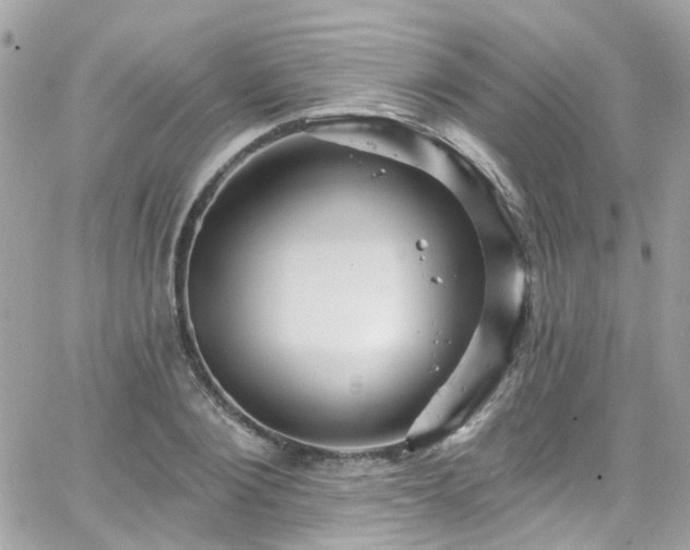 X0000066530884200603241359