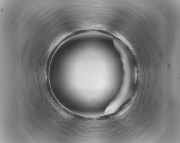 X0000066530885200603241359