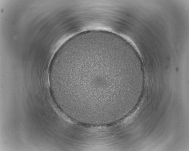 X0000066530887200603241359