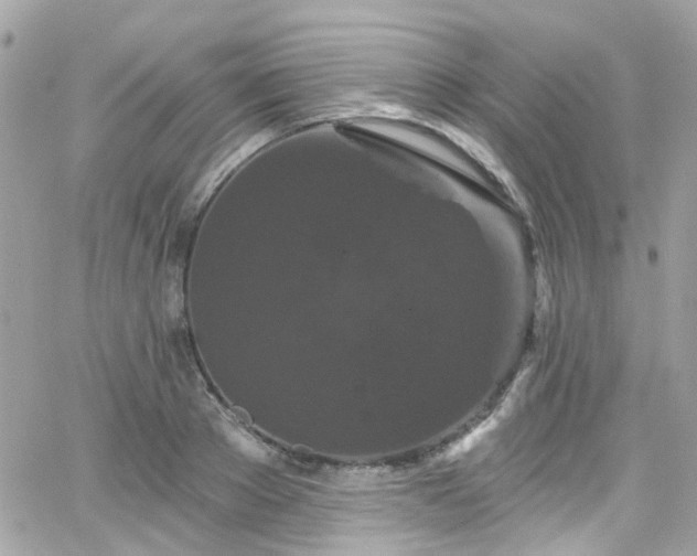 X0000066530889200603241359