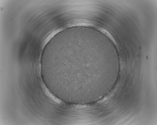 X0000066530890200603241359