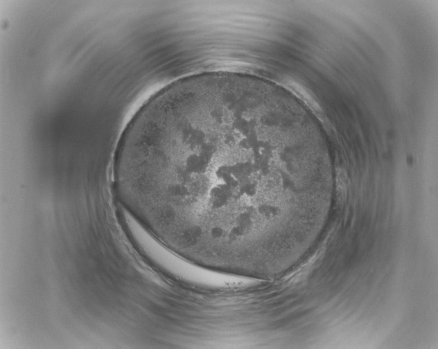 X0000066530891200603241359