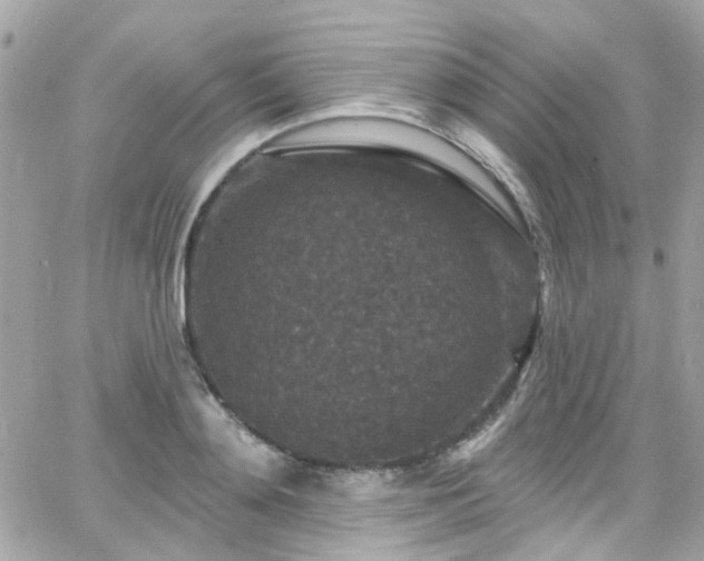 X0000066530892200603241359