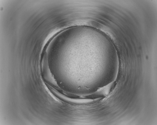 X0000066530894200603241359