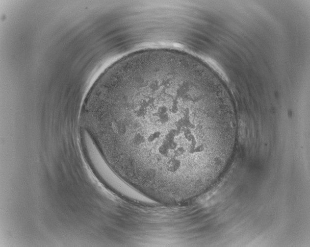 X0000066530895200603241359