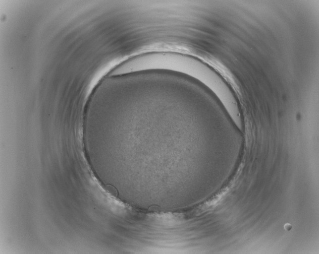 X0000066530896200603241359