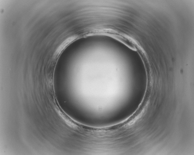 X0000066530897200603241359