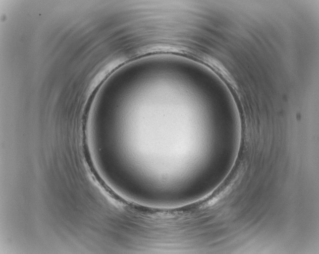 X0000066530898200603241358