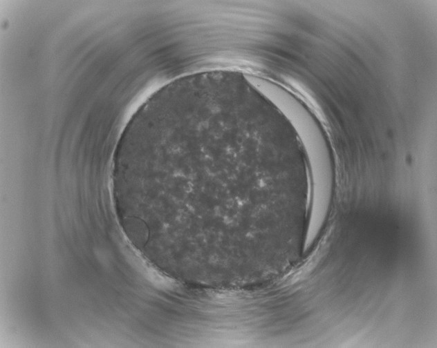 X0000066530899200603241358