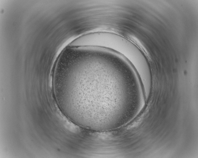 X0000066530900200603241358