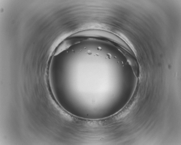 X0000066530901200603241358