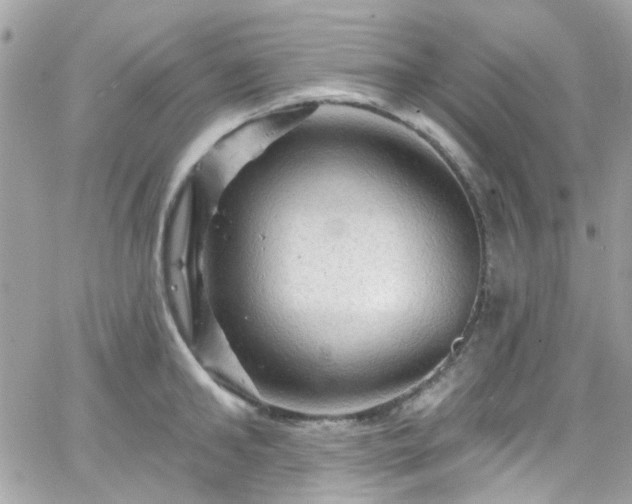 X0000066530902200603241358