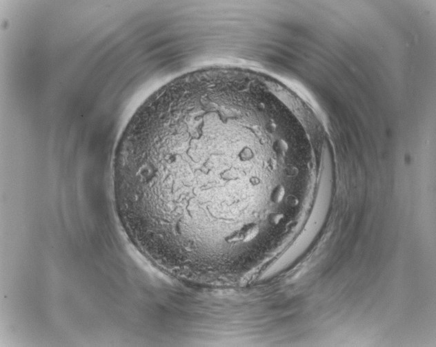 X0000066530903200603241358