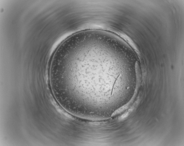 X0000066530904200603241358