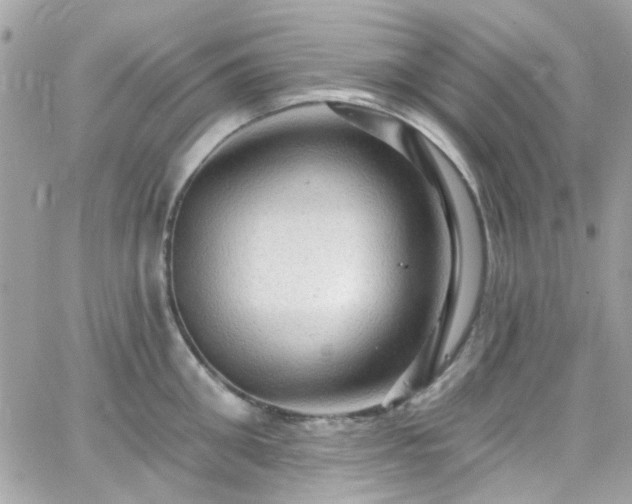 X0000066530906200603241358