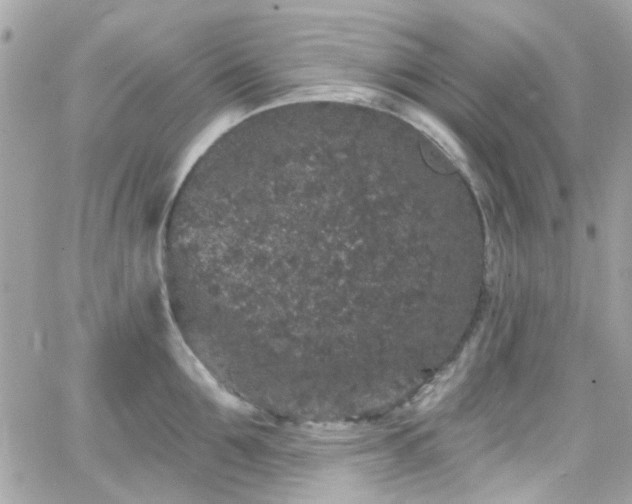 X0000066530907200603241358