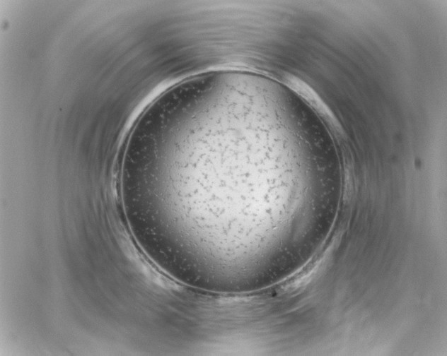 X0000066530908200603241358