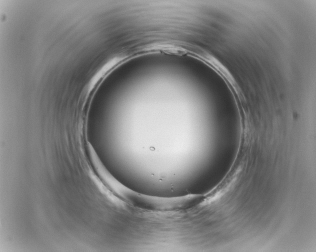 X0000066530909200603241358