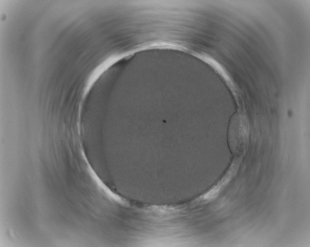 X0000066530910200603241358