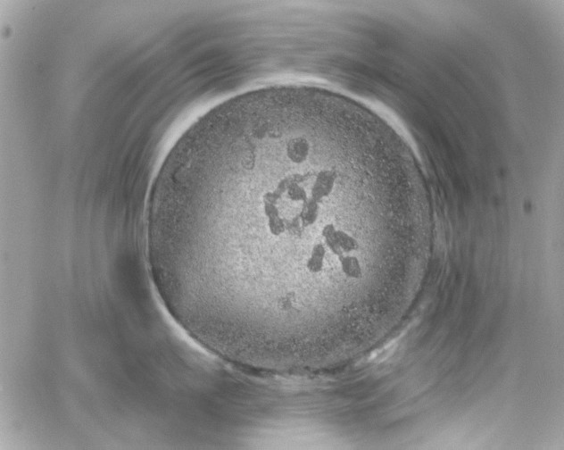 X0000066530911200603241358