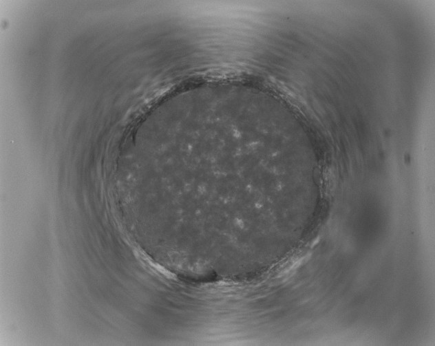 X0000066530913200603241357