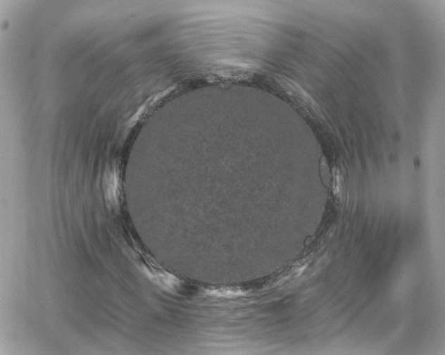 X0000066530915200603241358