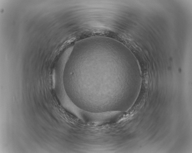 X0000066530916200603241358