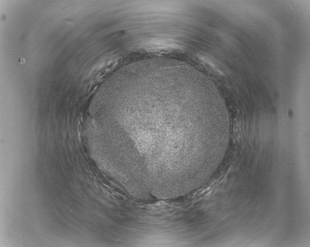 X0000066530917200603241358