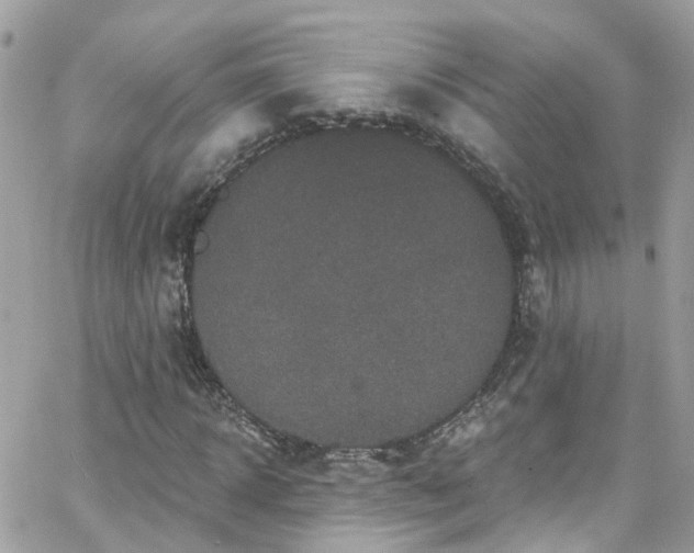 X0000066530918200603241358