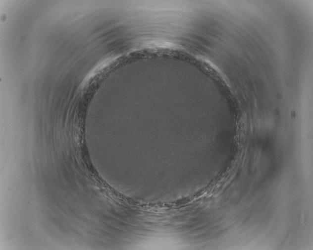 X0000066530919200603241358