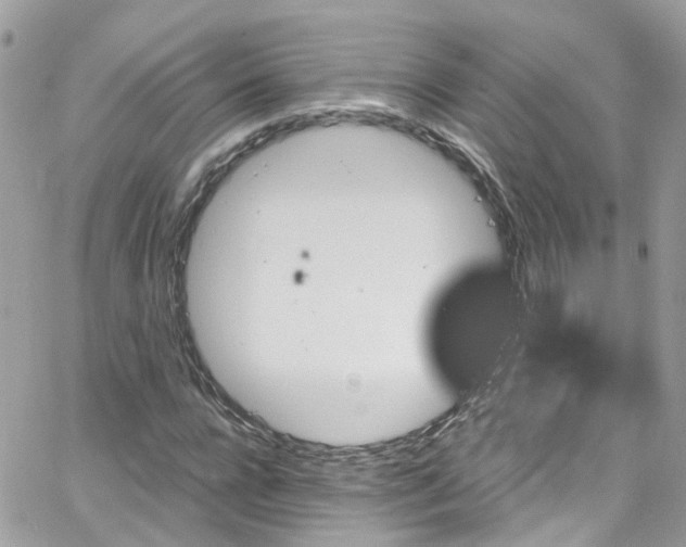 X0000066530920200603241358