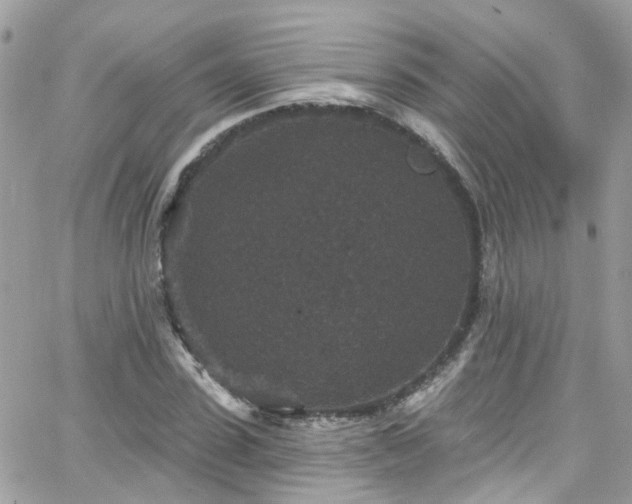 X0000066530923200603241358