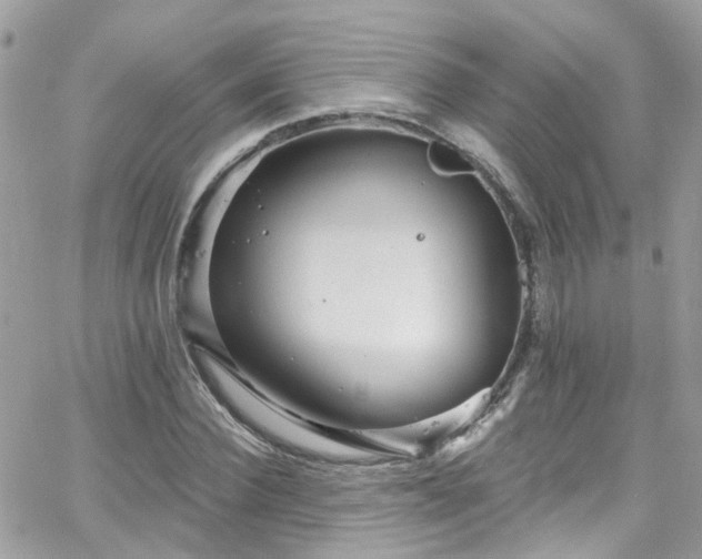 X0000066530924200603241358