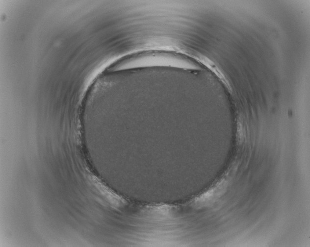 X0000066530926200603241358