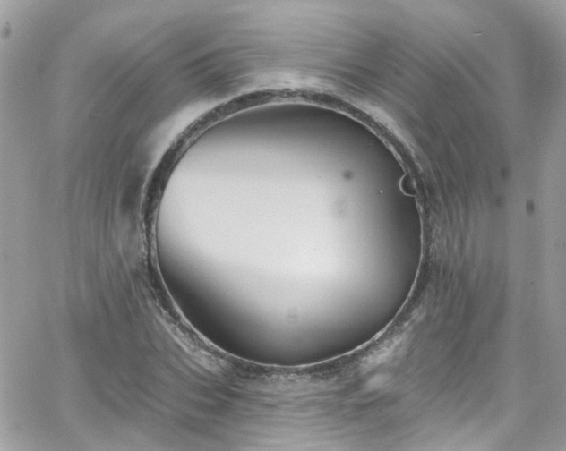 X0000066530927200603241358