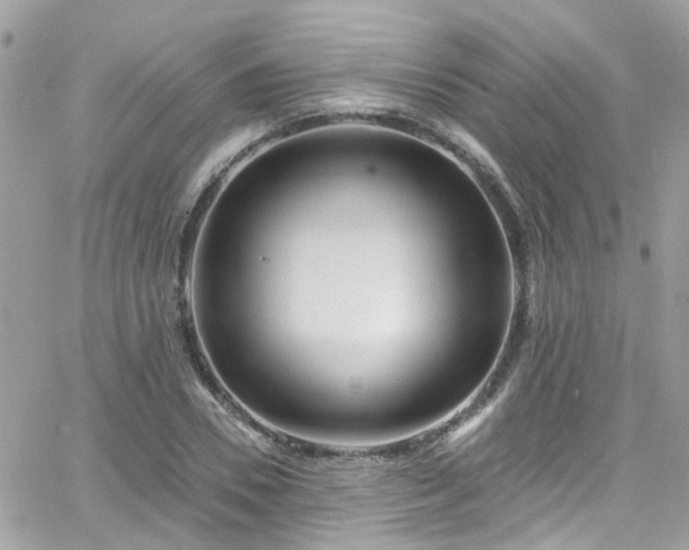 X0000066530930200603241358