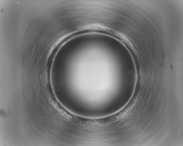 X0000066530931200603241358